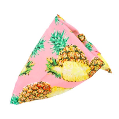 4 Paws Scarf Pink Pineapple - Petityu