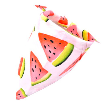 4 Paws Scarf Watermelon - Petityu